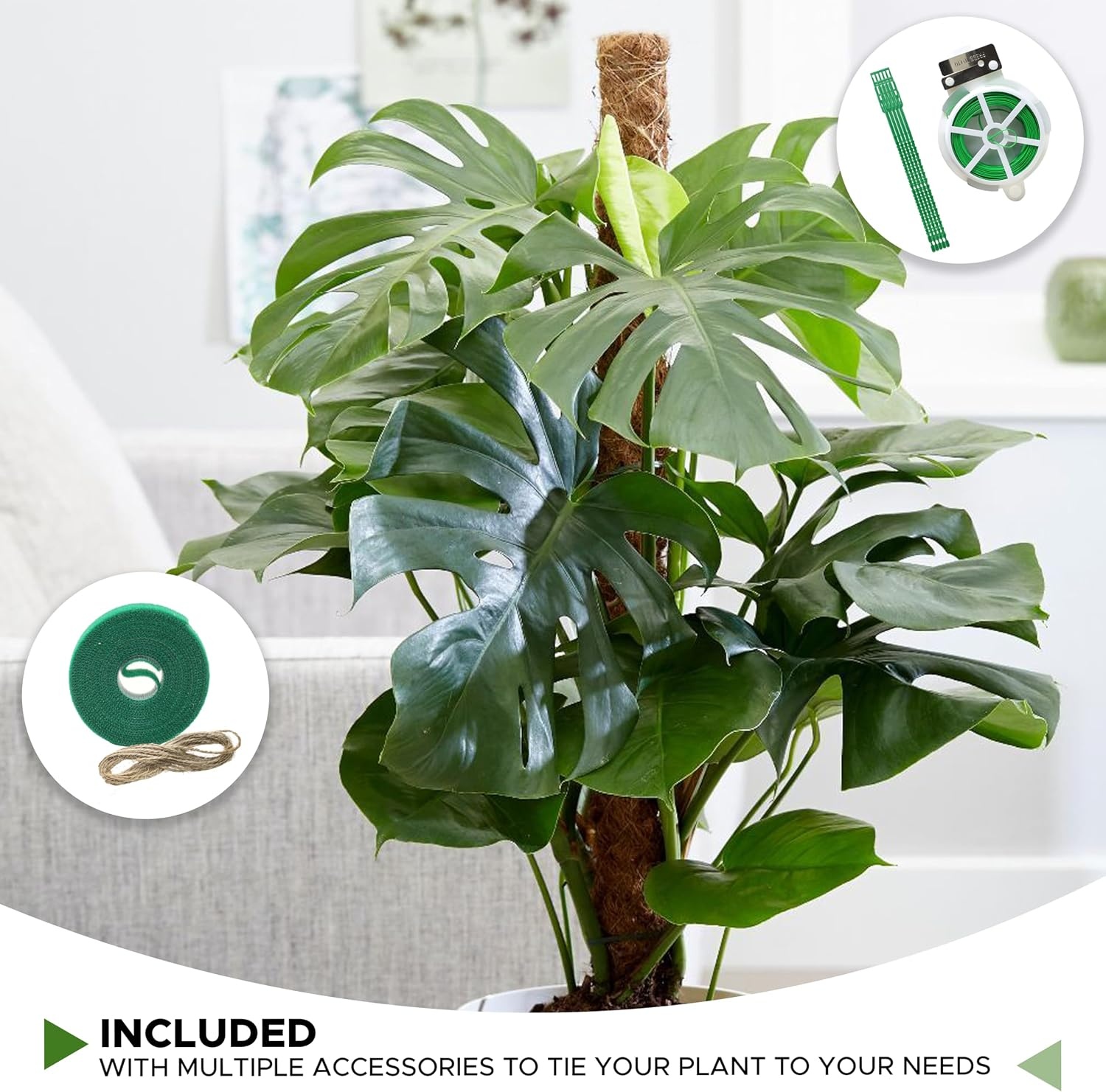 image:imageEcoNour Tall Moss Pole for Plants 1Pack 48Inch Large Monstera Plant Support for Climbing and Growth Elevate Your Indoor Garden Tall Plant Support for Indoor Potted Plants to Grow Upwards16 Inches 2 PCS