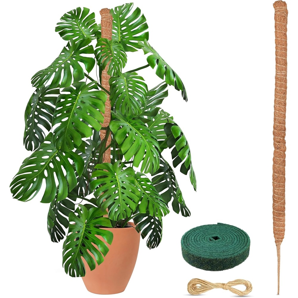 image:imageEcoNour Tall Moss Pole for Plants 1Pack 48Inch  Large Monstera Plant Support for Climbing and Growth  Elevate Your Indoor Garden  Tall Plant Support for Indoor Potted Plants to Grow Upwards48 Inches  1 PC