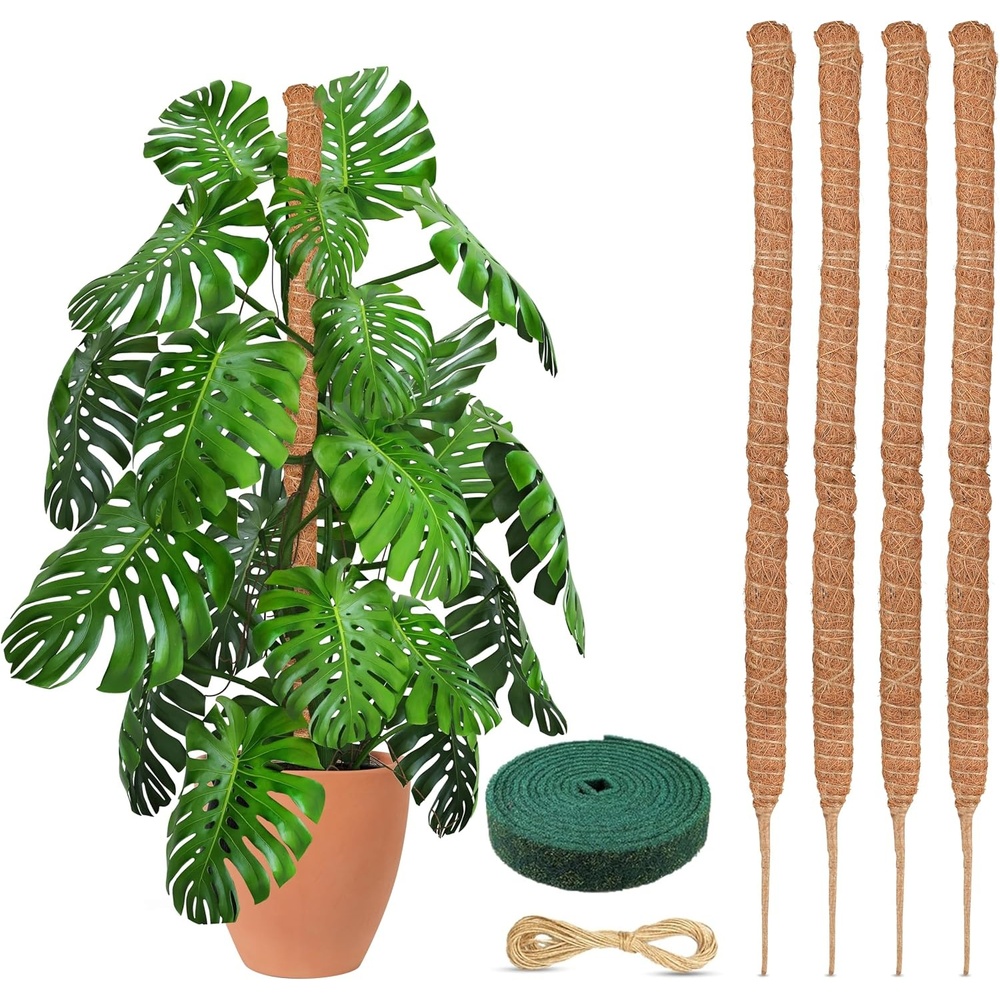image:imageEcoNour Tall Moss Pole for Plants 1Pack 48Inch  Large Monstera Plant Support for Climbing and Growth  Elevate Your Indoor Garden  Tall Plant Support for Indoor Potted Plants to Grow Upwards28 Inches  4 PCS