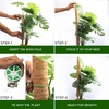 EcoNour Tall Moss Pole for Plants (1-Pack) 48-Inch | Large Monstera Plant Support for Climbing and Growth | Elevate Your Indoor Garden | Tall Plant Support for Indoor Potted Plants to Grow Upwards(16 Inches – (2 PCS))