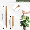 EcoNour Tall Moss Pole for Plants (1-Pack) 48-Inch | Large Monstera Plant Support for Climbing and Growth | Elevate Your Indoor Garden | Tall Plant Support for Indoor Potted Plants to Grow Upwards(16 Inches – (2 PCS))