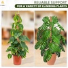 EcoNour Tall Moss Pole for Plants (1-Pack) 48-Inch | Large Monstera Plant Support for Climbing and Growth | Elevate Your Indoor Garden | Tall Plant Support for Indoor Potted Plants to Grow Upwards(63 Inches – (1 PC))