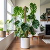 EcoNour Tall Moss Pole for Plants (1-Pack) 48-Inch | Large Monstera Plant Support for Climbing and Growth | Elevate Your Indoor Garden | Tall Plant Support for Indoor Potted Plants to Grow Upwards(28 Inches – (2 PCS))