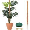 EcoNour Tall Moss Pole for Plants (1-Pack) 48-Inch | Large Monstera Plant Support for Climbing and Growth | Elevate Your Indoor Garden | Tall Plant Support for Indoor Potted Plants to Grow Upwards(63 Inches – (1 PC))