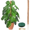 EcoNour Tall Moss Pole for Plants (1-Pack) 48-Inch | Large Monstera Plant Support for Climbing and Growth | Elevate Your Indoor Garden | Tall Plant Support for Indoor Potted Plants to Grow Upwards(48 Inches – (1 PC))