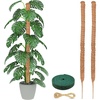 EcoNour Tall Moss Pole for Plants (1-Pack) 48-Inch | Large Monstera Plant Support for Climbing and Growth | Elevate Your Indoor Garden | Tall Plant Support for Indoor Potted Plants to Grow Upwards(63 Inches – (2 PCS))