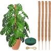 EcoNour Tall Moss Pole for Plants (1-Pack) 48-Inch | Large Monstera Plant Support for Climbing and Growth | Elevate Your Indoor Garden | Tall Plant Support for Indoor Potted Plants to Grow Upwards(28 Inches – (4 PCS))