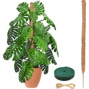 EcoNour Tall Moss Pole for Plants (1-Pack) 48-Inch | Large Monstera Plant Support for Climbing and Growth | Elevate Your Indoor Garden | Tall Plant Support for Indoor Potted Plants to Grow Upwards(48 Inches – (1 PC))