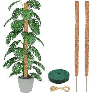 EcoNour Tall Moss Pole for Plants (1-Pack) 48-Inch | Large Monstera Plant Support for Climbing and Growth | Elevate Your Indoor Garden | Tall Plant Support for Indoor Potted Plants to Grow Upwards(63 Inches – (2 PCS))