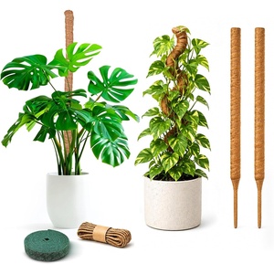 EcoNour Tall Moss Pole for Plants (1-Pack) 48-Inch | Large Monstera Plant Support for Climbing and Growth | Elevate Your Indoor Garden | Tall Plant Support for Indoor Potted Plants to Grow Upwards(28 Inches – (2 PCS))