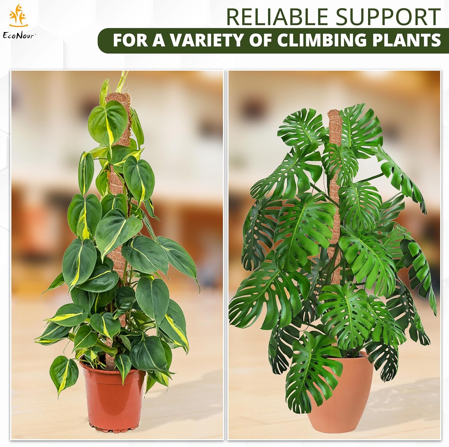 image:imageEcoNour Moss Pole for Plants 28 inches 2 Pack EcoNour Moss Pole for Plants 63 inches Monstera Support for Plant Climbing and Growth