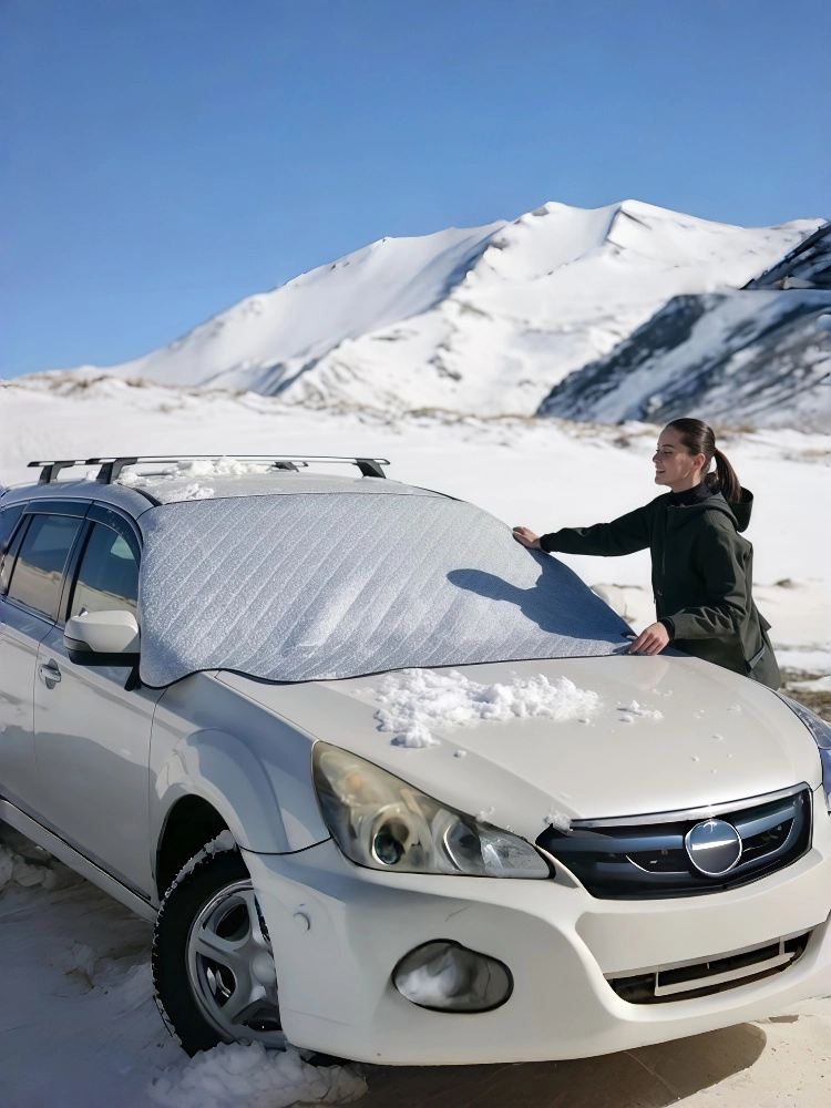 ECONOUR windshield heat shield and UVProtection