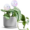 EcoNour 2PCS Light Iridescent Self-Watering Glass Globes | Automatic Plant Waterer for Indoor & Outdoor Use | Provides Up to a Week of Hydration | Ideal for Plant Lovers